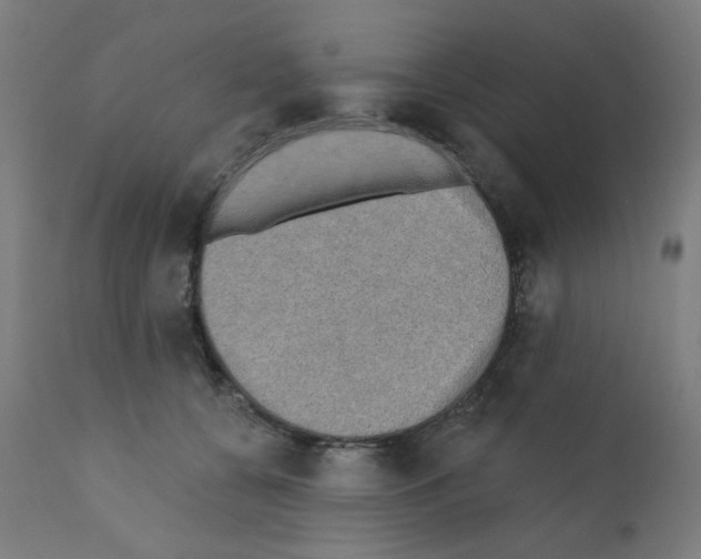 X0000110940560200907311019