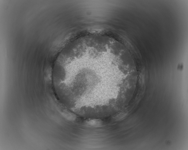X0000110940561200907311019