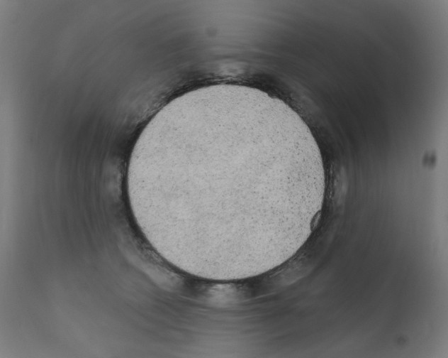 X0000110940562200907311019