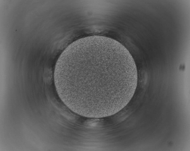 X0000110940563200907311019