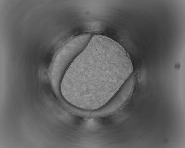 X0000110940564200907311019