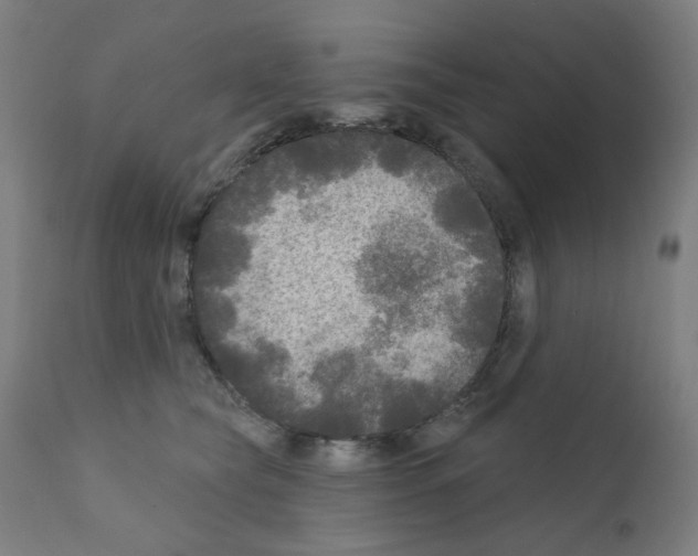 X0000110940565200907311019