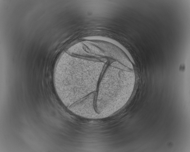 X0000110940566200907311019