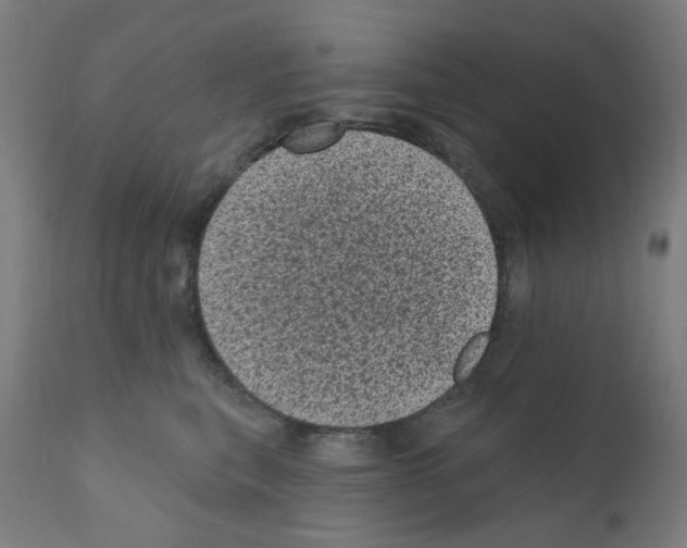 X0000110940567200907311019