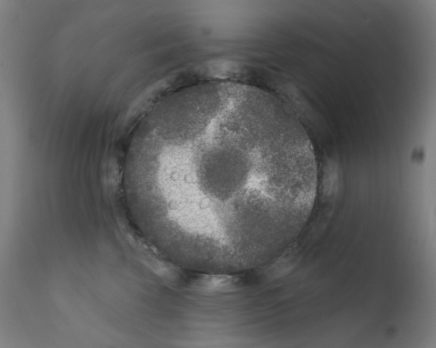 X0000110940569200907311019