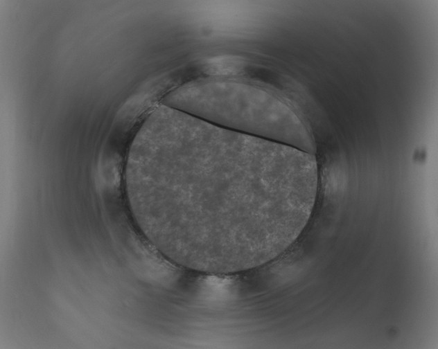 X0000110940570200907311019