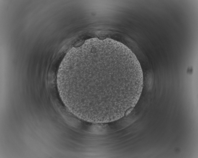X0000110940571200907311019