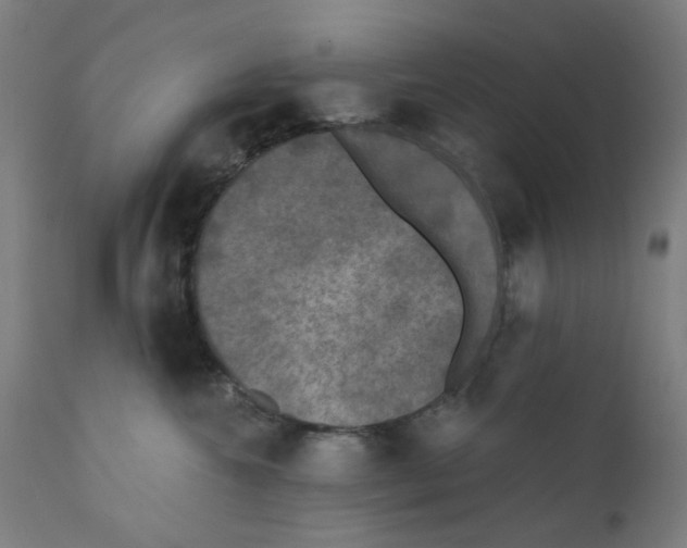 X0000110940572200907311019
