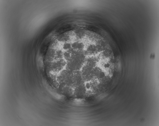 X0000110940573200907311019