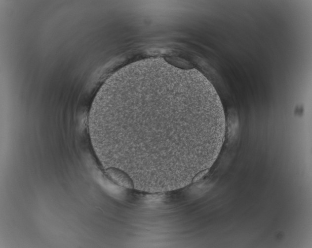 X0000110940574200907311019