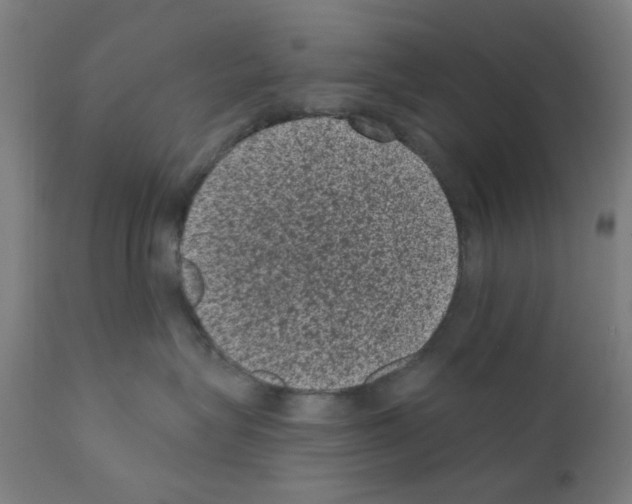 X0000110940575200907311019