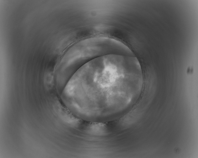 X0000110940576200907311020