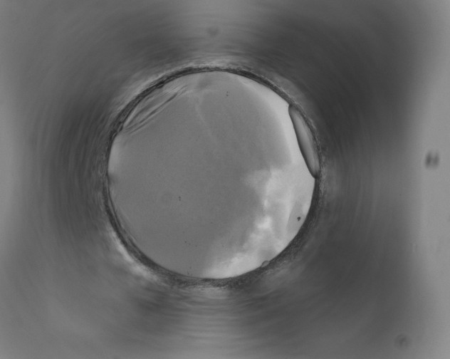 X0000110940577200907311019