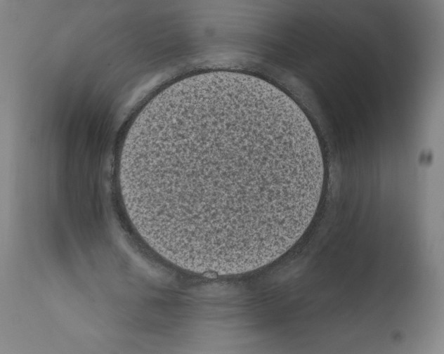 X0000110940578200907311019