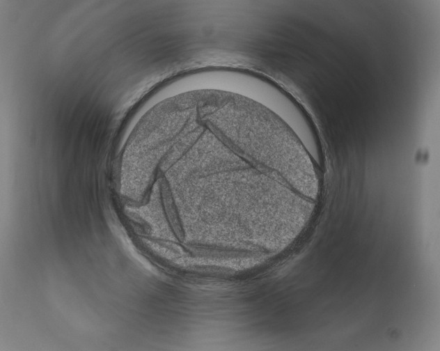 X0000110940581200907311019