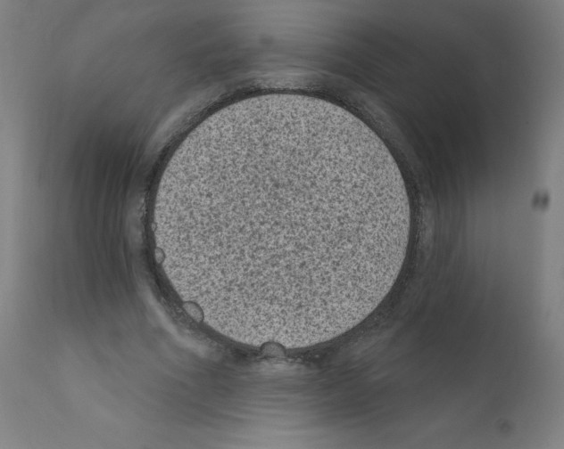 X0000110940586200907311019