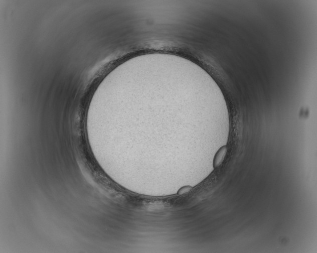 X0000110940587200907311019