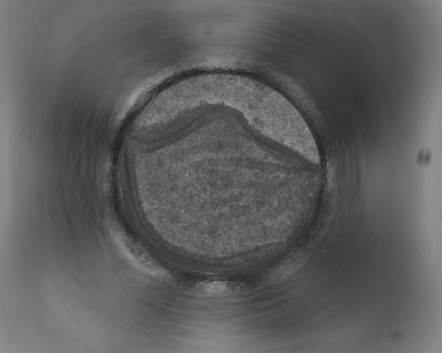 X0000110940588200907311019