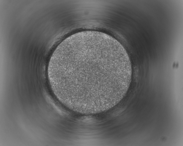 X0000110940589200907311019