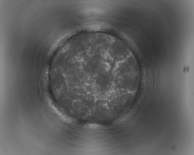 X0000110940590200907311019