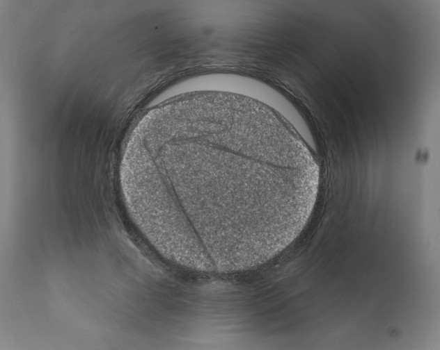 X0000110940593200907311018