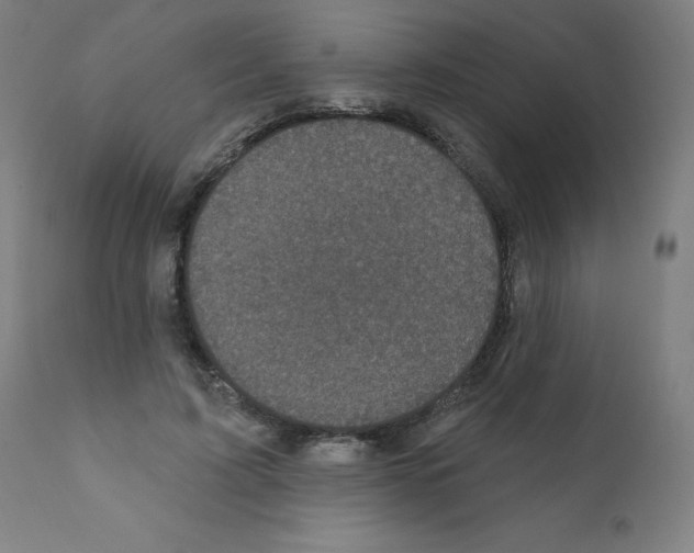X0000110940595200907311018