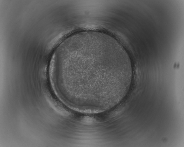 X0000110940596200907311018