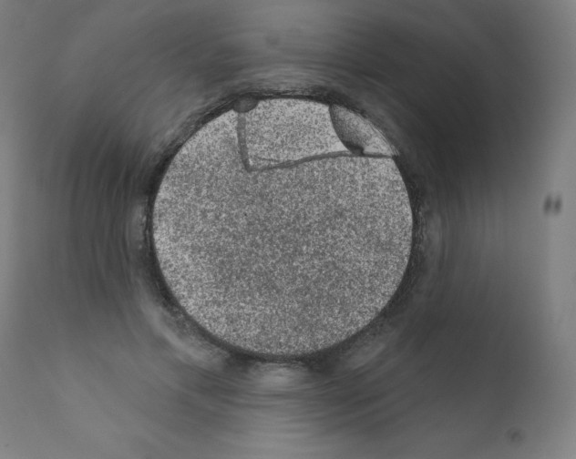 X0000110940597200907311018