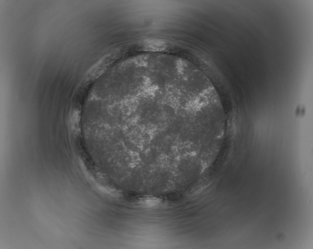 X0000110940598200907311018