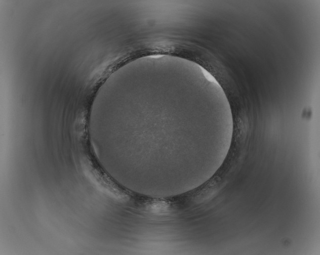X0000110940600200907311018