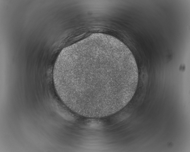 X0000110940601200907311018