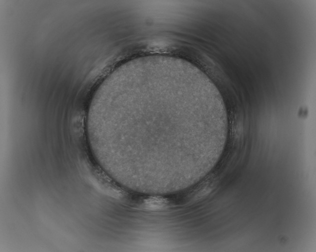 X0000110940603200907311018