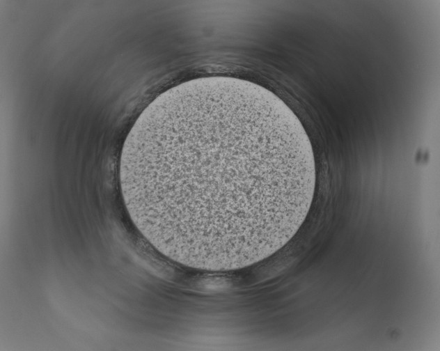 X0000110940604200907311018