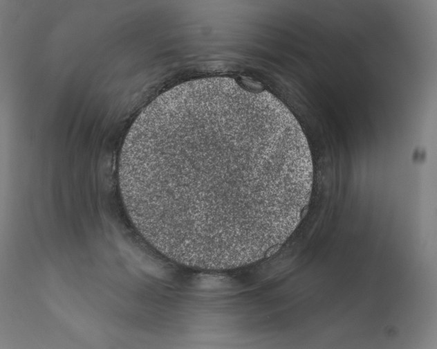 X0000110940605200907311018