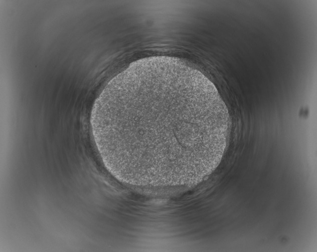 X0000110940609200907311018