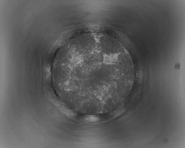 X0000110940610200907311018