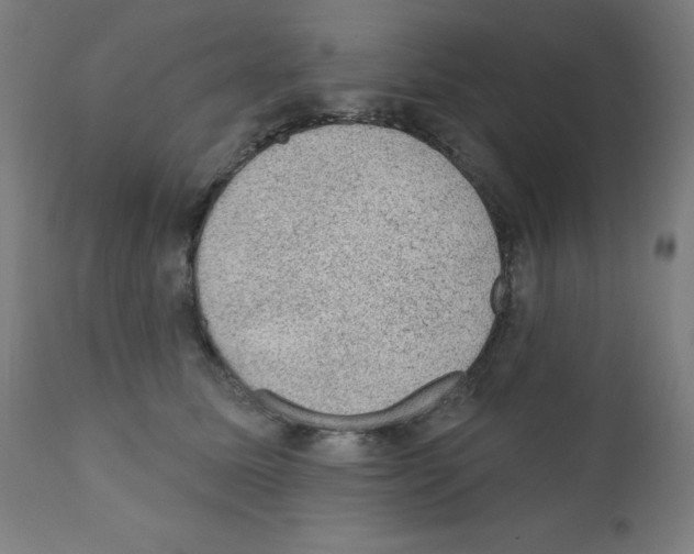 X0000110940611200907311018