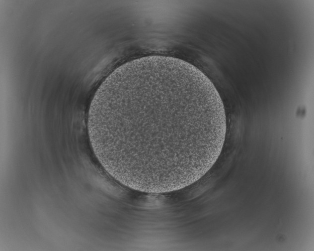 X0000110940612200907311018