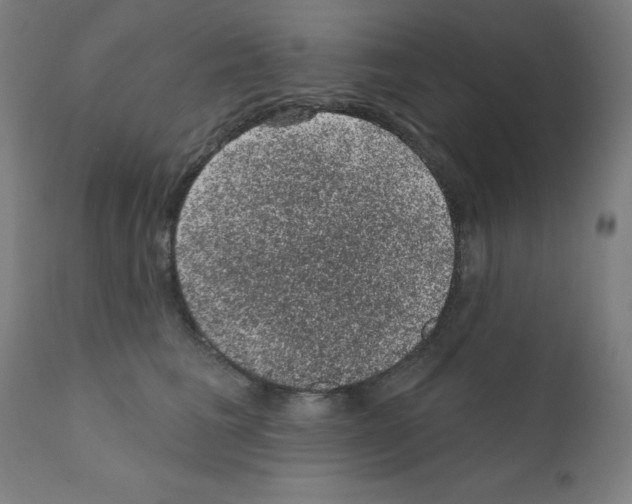 X0000110940613200907311018