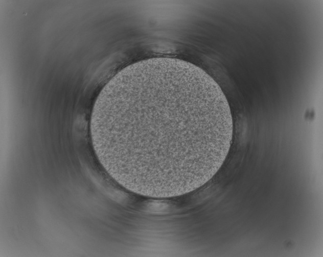 X0000110940614200907311018