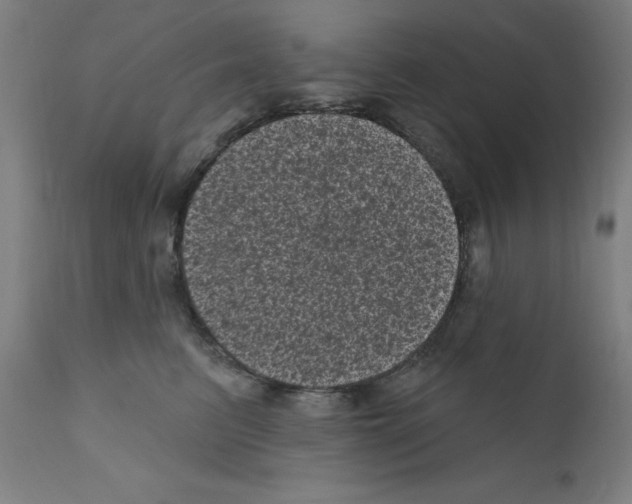 X0000110940615200907311018