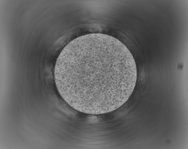 X0000110940616200907311018