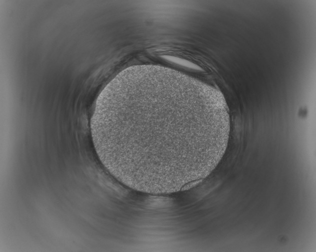 X0000110940617200907311018