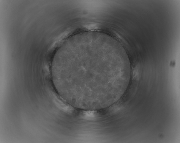 X0000110940618200907311018