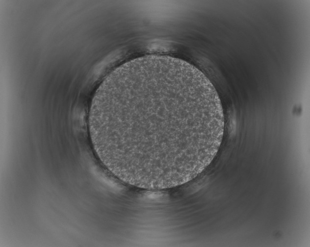 X0000110940619200907311018
