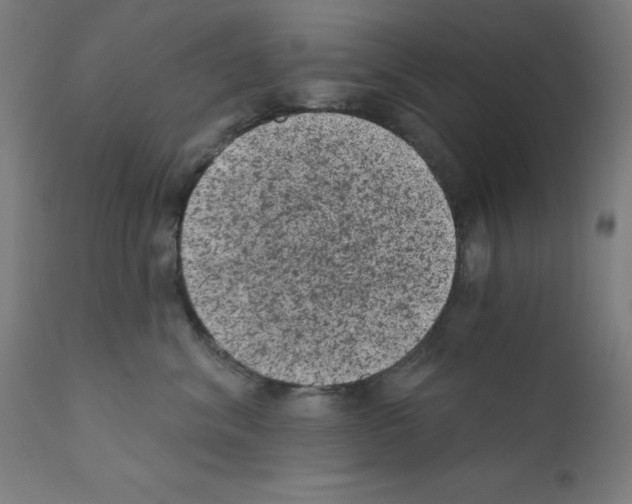 X0000110940620200907311018