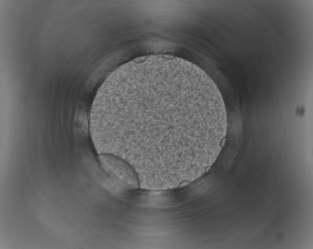 X0000110940622200907311018