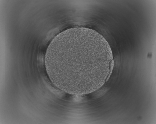 X0000110940623200907311018