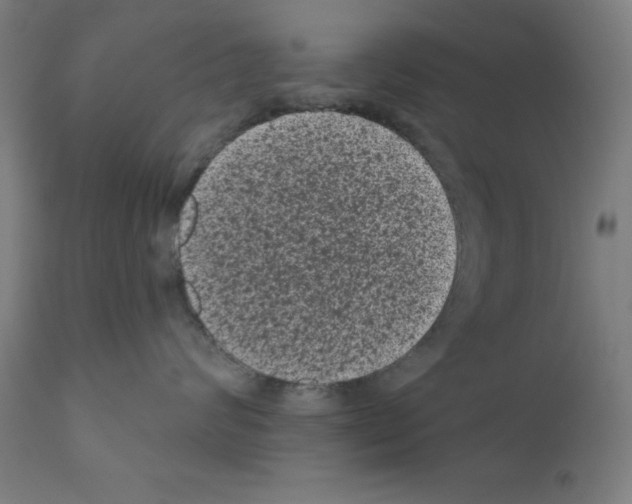 X0000110940624200907311018