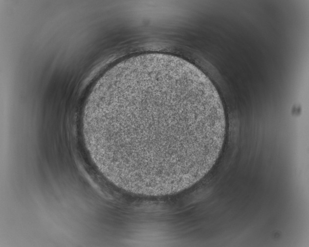 X0000110940626200907311017
